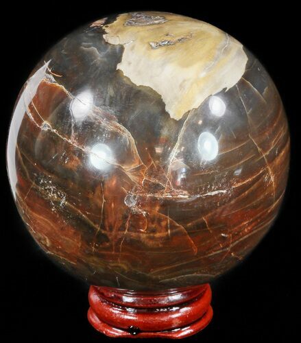 Colorful Petrified Wood Sphere #49750